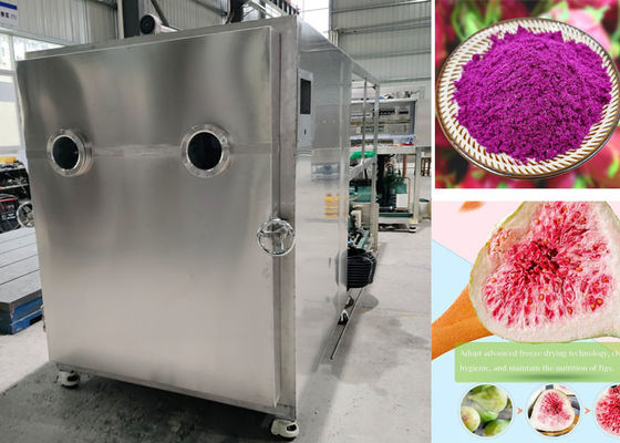 Máy sấy đông lạnh bằng điện