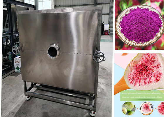 Diy Stayfresh máy sấy đông với hệ thống điều khiển PLC