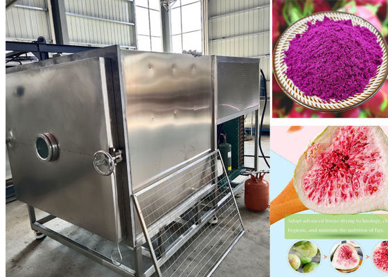 100kg / lô Stayfresh Máy sấy đông lạnh với hệ thống làm mát bằng không khí