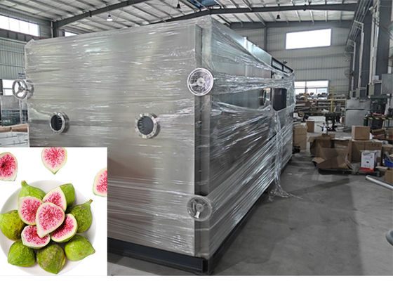 Hệ thống làm khô đông thức ăn tự động điều khiển PLC