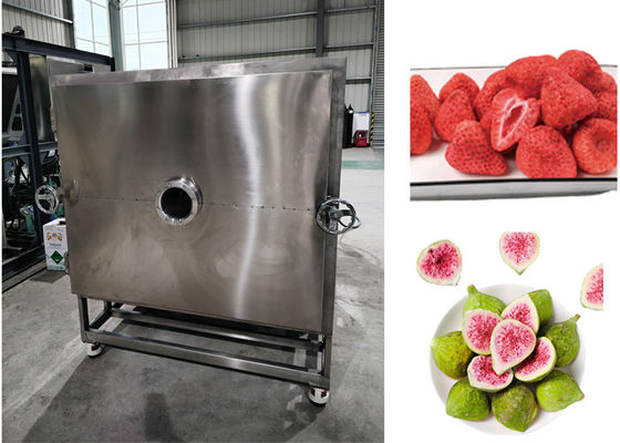 Hệ thống làm mát lạnh bằng không khí rau quả lyophilizer Machine
