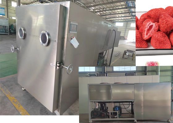 Máy làm khô đông lạnh công nghiệp Máy lyophilizer chân không với máy bơm công nghiệp
