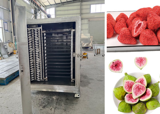 Điều khiển từ xa PLC Ống làm khô lạnh thực phẩm chân không cho quá trình sấy