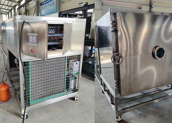 Capacity lớn 300kg thực phẩm chân không máy đông khô