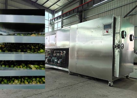 Hệ thống làm lạnh Bitzer / Leybold mạnh mẽ Máy sấy đông lạnh cho trái cây