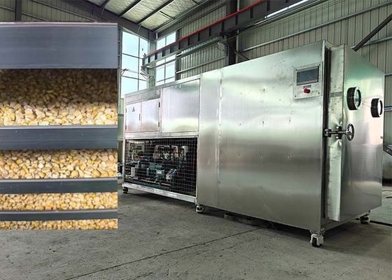 Máy làm khô lạnh thực phẩm Máy làm khô trái cây Máy lyophilizer Thiết bị sấy khô