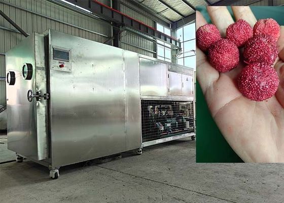 Máy làm khô đông lạnh bằng chân không điều khiển bởi PLC 30-35kg / lô