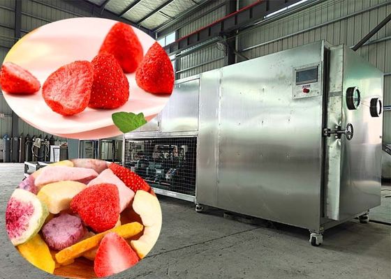 100kg / lô Máy làm lạnh khô Lyophilizer với điều khiển PLC