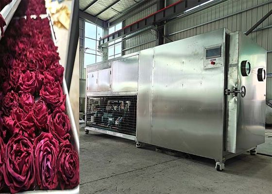 Máy sấy đông bằng chân không thương mại với thời gian sấy đông điều chỉnh