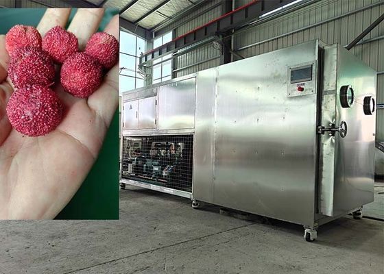 Máy làm khô lạnh lyophilizer thực phẩm thông minh 200KG