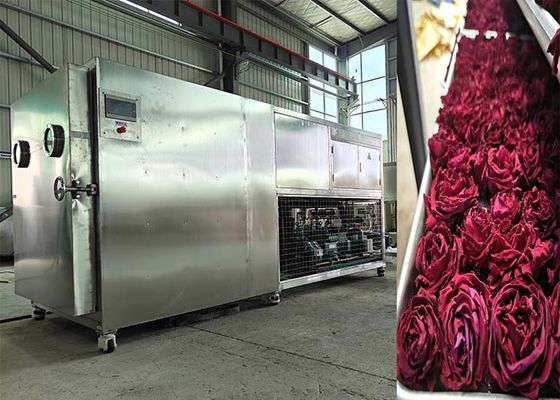 200Kg 500Kg Capacity Lyophilizer Máy làm khô đông lạnh