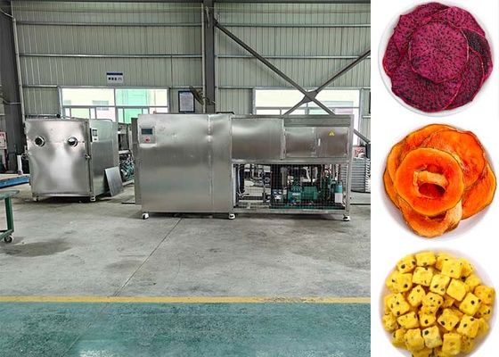 Máy làm khô trái cây đông lạnh thông minh được điều khiển bởi PLC