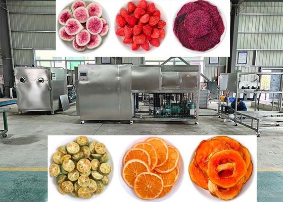 OEM / ODM Ứng dụng làm khô đông lạnh bằng chân không thực phẩm Kinh nghiệm hiệu suất làm khô đông lạnh không sánh ngang