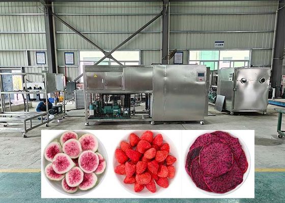Hiệu quả Thiết bị khử nước đông lạnh chuyên nghiệp với bẫy lạnh -40 °C
