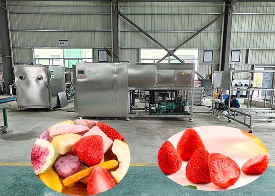 Máy làm khô đông lạnh công nghiệp 100kg mỗi lô với 60dB