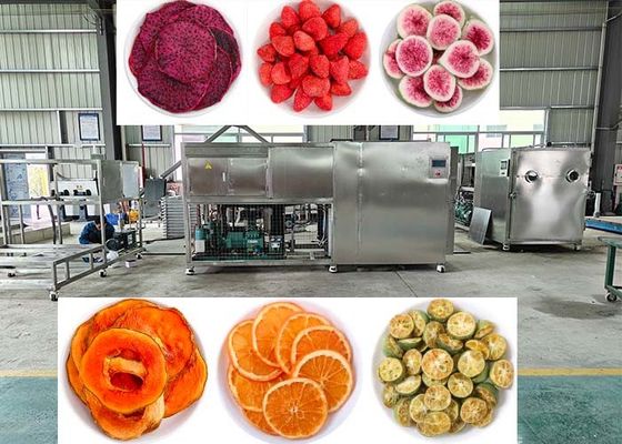 Máy lyophilizer với điều khiển PLC