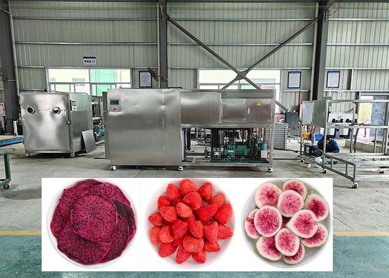 38KW Điện sưởi ấm giải nắng Lyophilizer Máy làm khô đông lạnh