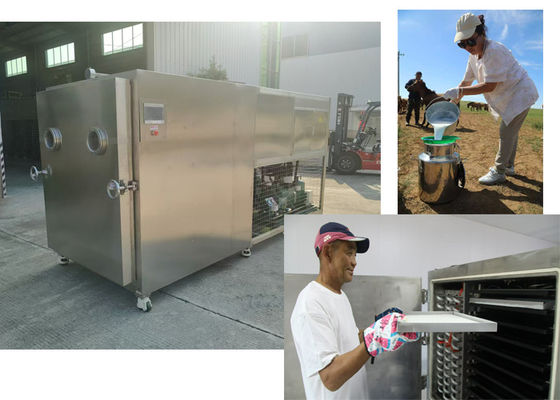 100Kg / batch Capacity Vacuum Food Vegetable Freeze Dryer