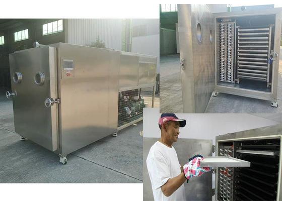 Máy sấy đông rau củ công nghiệp điện