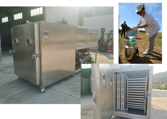 Thiết kế nhỏ gọn ẩm thực rau củ đông khô với Baosi hoặc Bitzer