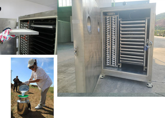 Máy sấy đông lạnh rau củ công nghiệp với hệ thống điều khiển PLC
