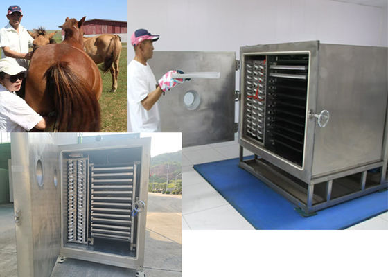 Máy sấy đông lạnh thực vật chân không với đơn vị làm lạnh