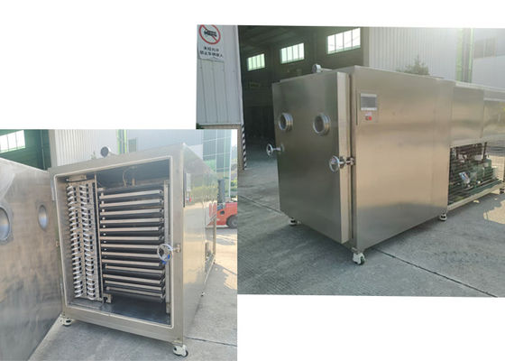 Máy làm khô hoa quả sương khô tối ưu