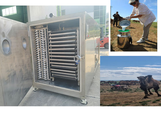 Thiết kế nhỏ gọn Máy đông lạnh trái cây khô với hệ thống làm lạnh Bitzer