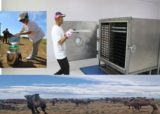 hoặc Leybold máy nén đông lạnh máy trái cây khô