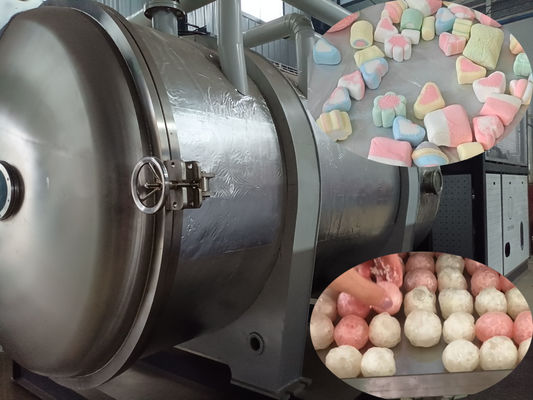 Máy đông khô thực phẩm công nghiệp 500kg Máy lyophilizer quy mô lớn cho chế biến thực phẩm