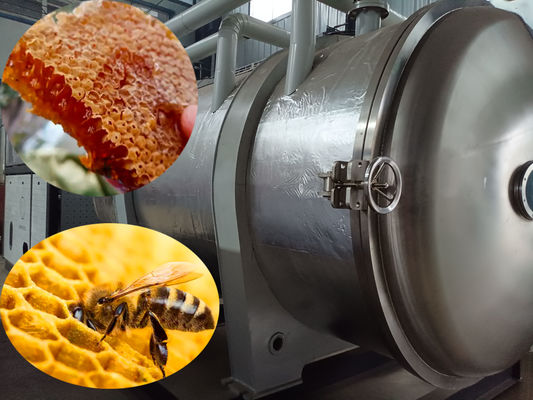 Drying tùy chỉnh công nghiệp Thiết bị máy sấy đông ủ ủ ủ ủ ủ ủ ủ ủ mật