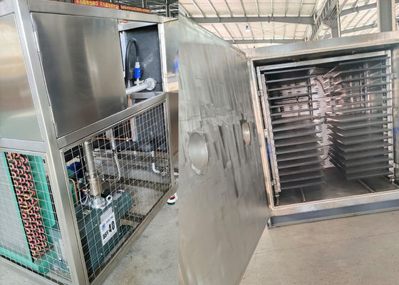 Máy sấy đông lạnh chân không thực phẩm lớn cho ứng dụng công nghiệp