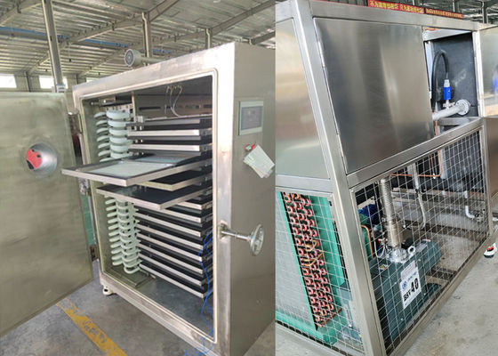 Bảo quản thực phẩm Máy làm khô đông lạnh bằng chân không 300Kg