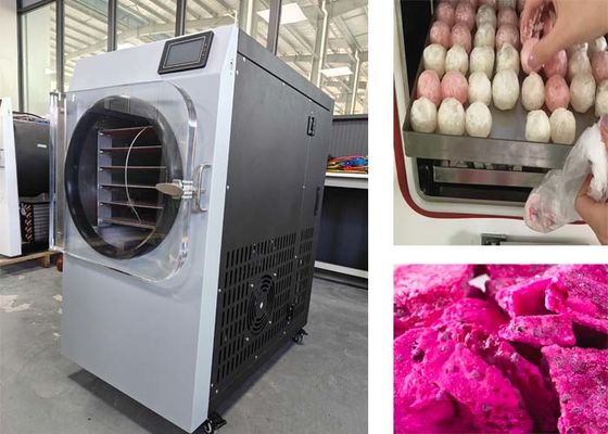 Hệ thống điều khiển PLC 304 thép không gỉ Máy sấy đông lạnh cho sử dụng gia đình