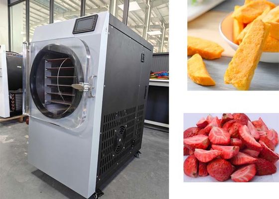 Máy sấy đông nhỏ 2000W hoàn hảo cho sấy đông