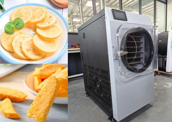 Điện sưởi ấm 304 thép không gỉ Máy làm khô lạnh thực phẩm cho sử dụng trong nhà