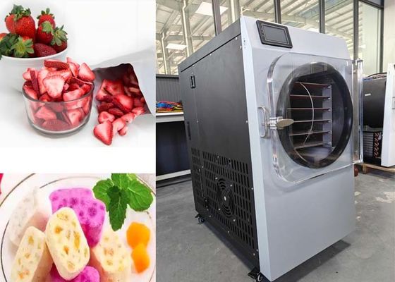 220V 20-25kg Capacity Freeze Dry Machine Cho Nhà