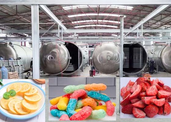 Máy sấy đông bằng chân không 1000Kg Dược phẩm Công nghệ sấy khô tiên tiến