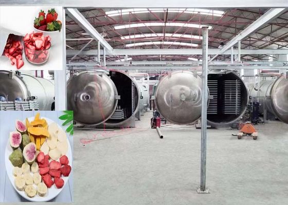 1000Kg Máy làm khô lạnh chân không mạnh mẽ sử dụng công nghiệp