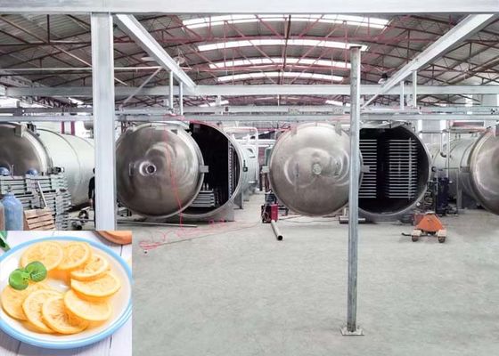 Máy làm khô đông lạnh công nghiệp lớn 1000kg/sổ