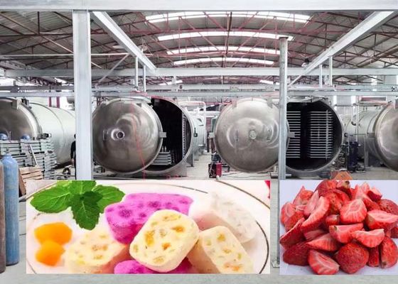 Máy sấy đông lớn 1000Kg cho kết quả sấy khô chính xác nhanh 20-24H