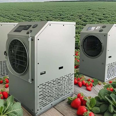 Máy lyophilizer 6KG 10KG 20KG Bảo quản thực phẩm tại nhà