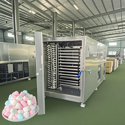 Máy sấy đông lạnh chân không công nghiệp 300KG Thiết bị xử lý lô lớn cho thảo mộc