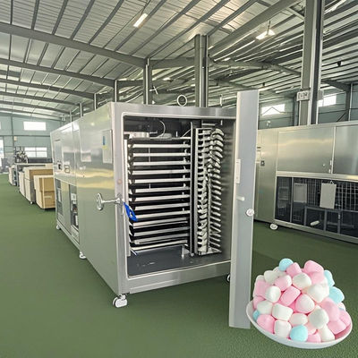 Thiết bị lyophilizer quy mô thương mại 50KG Hệ thống làm khô đông lạnh công nghiệp cho các sản phẩm kẹo sữa