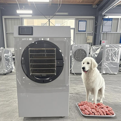 Lớp thực phẩm 6kg Máy làm khô đông lạnh Thiết bị mất nước thương mại cho trái cây rau quả