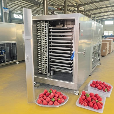Máy sấy đông lạnh hàng loạt 200kg Kiểm soát tự động cho việc khử nước thịt / trái cây