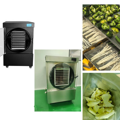 SUS304 Stainless Steel Shell Home Freeze Dryer Machine for 220V/1PH/50-60HZ Requirements