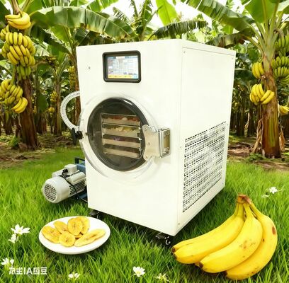 Healthy Snacks Made Easy. Freeze-Dry Fruits, Yogurt & More with a Harvest Right. No Additives, All Control