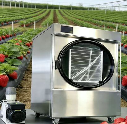 Máy làm khô đông lạnh có kích thước gia đình 4 khay, bảo quản chất dinh dưỡng và tạo ra kho thực phẩm lâu dài