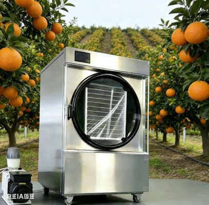 Ngừng ném thức ăn dư thừa! Một máy sấy đông tự động tại nhà biến thức ăn dư thừa thành kho lưu trữ lâu dài, bao gồm máy bơm hút bụi và khay tháo rời dễ làm sạch